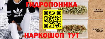 шишки Нарткала