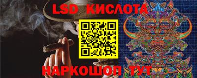 шишки Нарткала