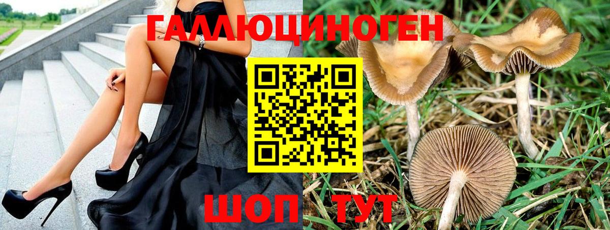Псилоцибиновые грибы Psilocybine cubensis  Вход с VPN  Кропоткин 
