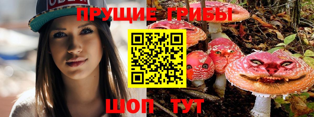 Галлюциногенные грибы MAGIC MUSHROOMS Кропоткин